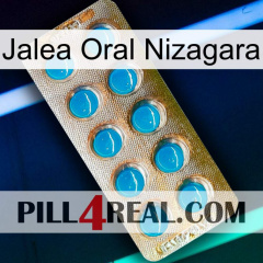 Nizagara Oral Jelly new09